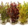 Sydeco Cocktail Plant Maxi 35 Cm Mix 1St -Fischfutter Verkaufs-Shop 13929 3