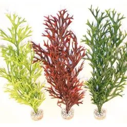 Sydeco Water Fern Flexible 58 Cm - Rot