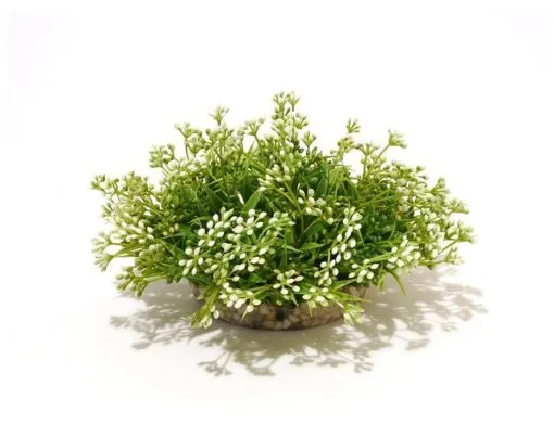 Sydeco Beauty Ball 10 X 15 Cm 2 Sydeco Beauty Ball 10 X 15 Cm -Fischfutter Verkaufs-Shop 29182 3