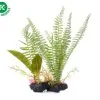 JK Animals JK Aquarienpflanze - Farnstein 33 Cm -Fischfutter Verkaufs-Shop 32501 3