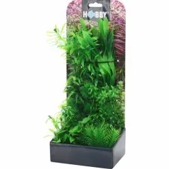 Aquarium Pflanzen Set 4