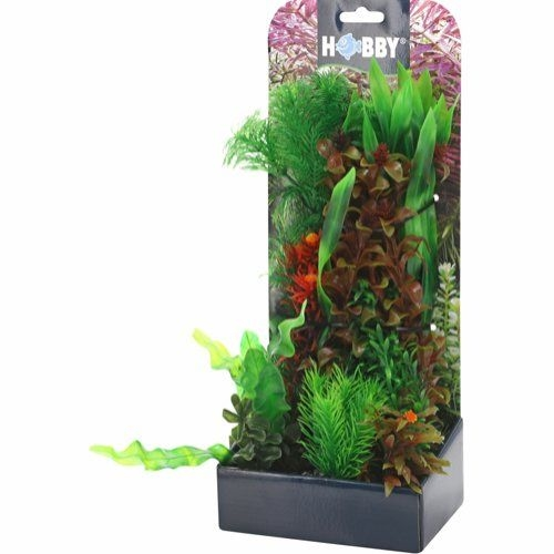 Aquarium Pflanzen Set 6 3 Aquarium Pflanzen Set 6